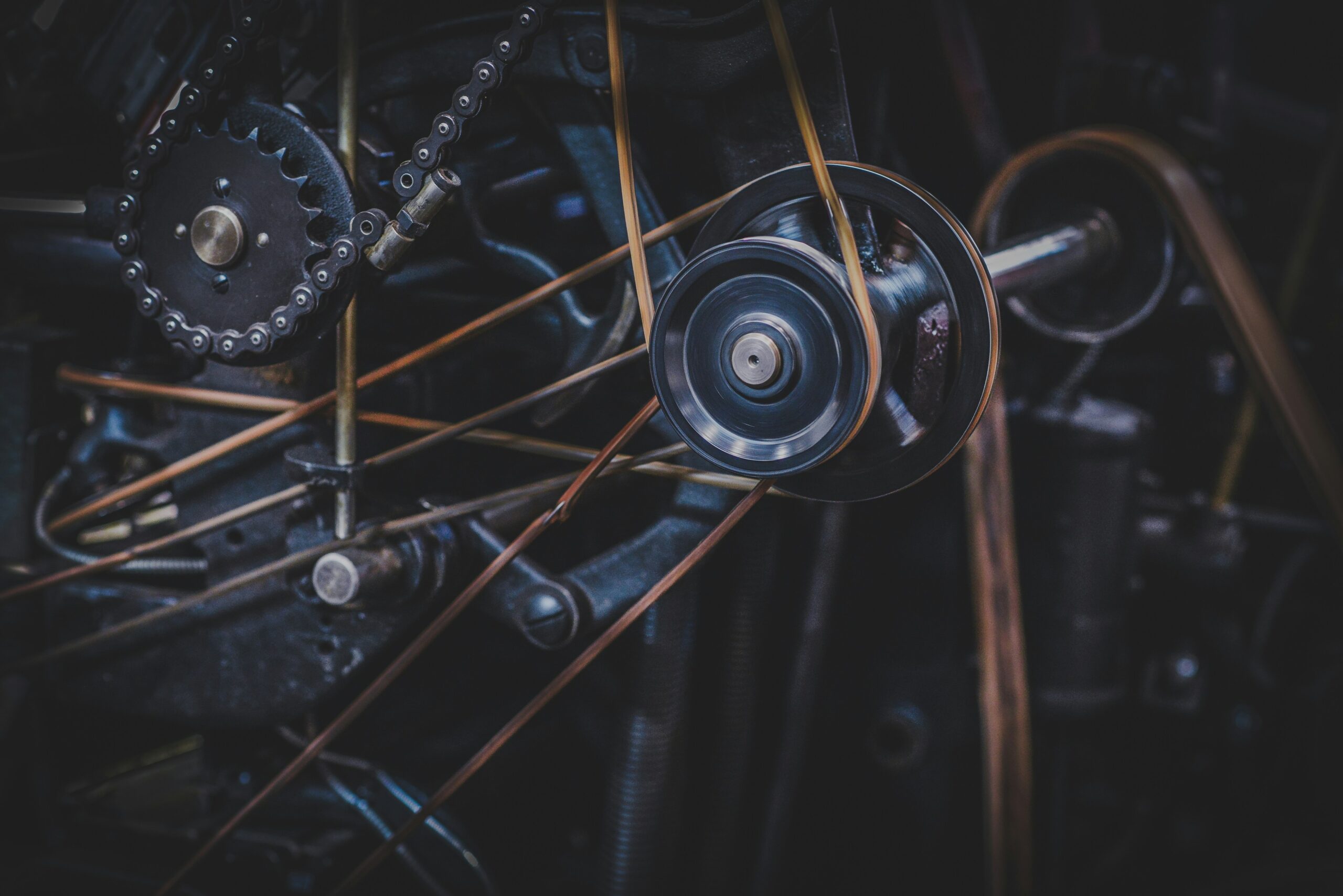 kiwihug-Hld-BtdRdPU-unsplash